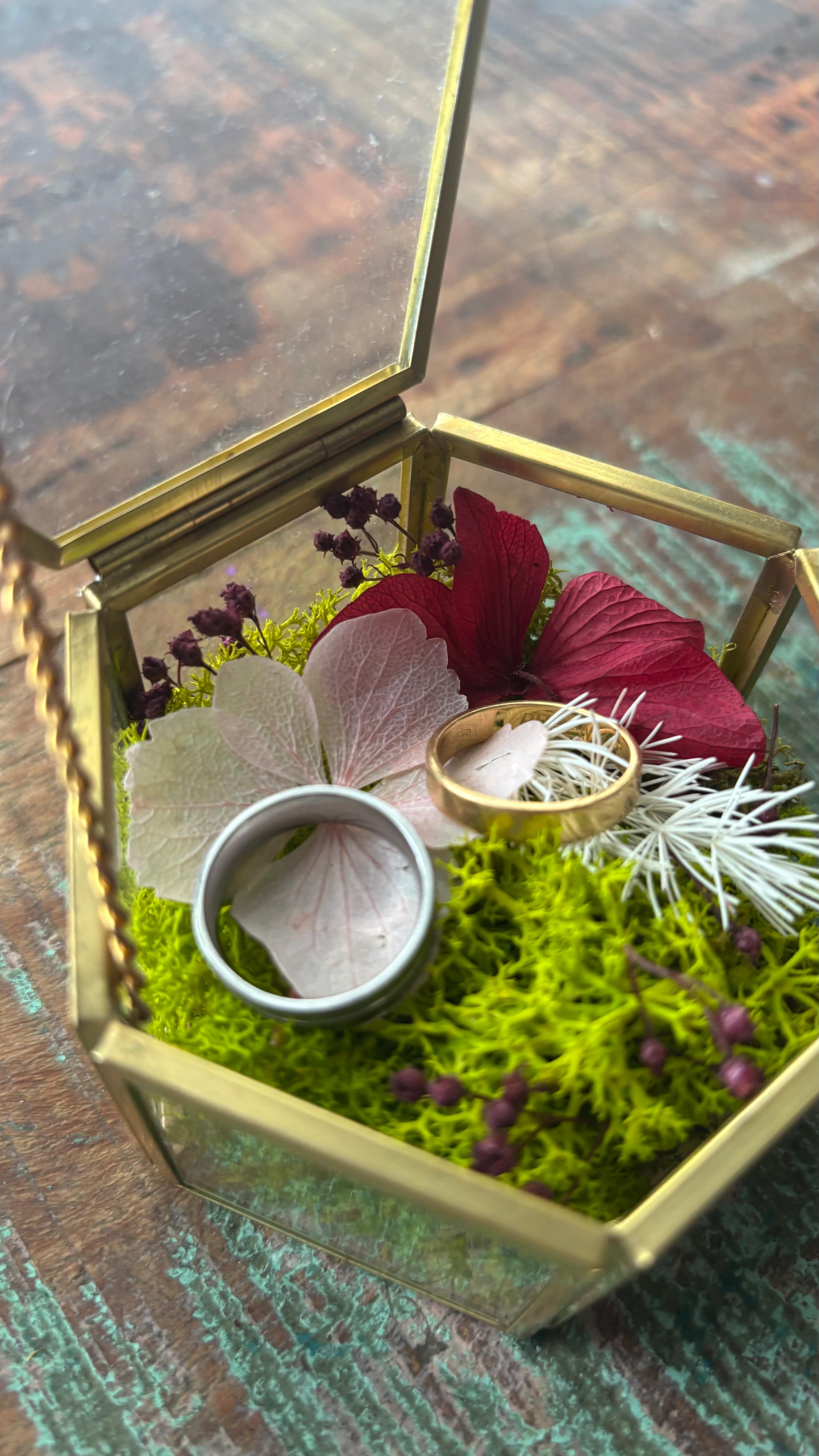 Porta alianzas exagonal