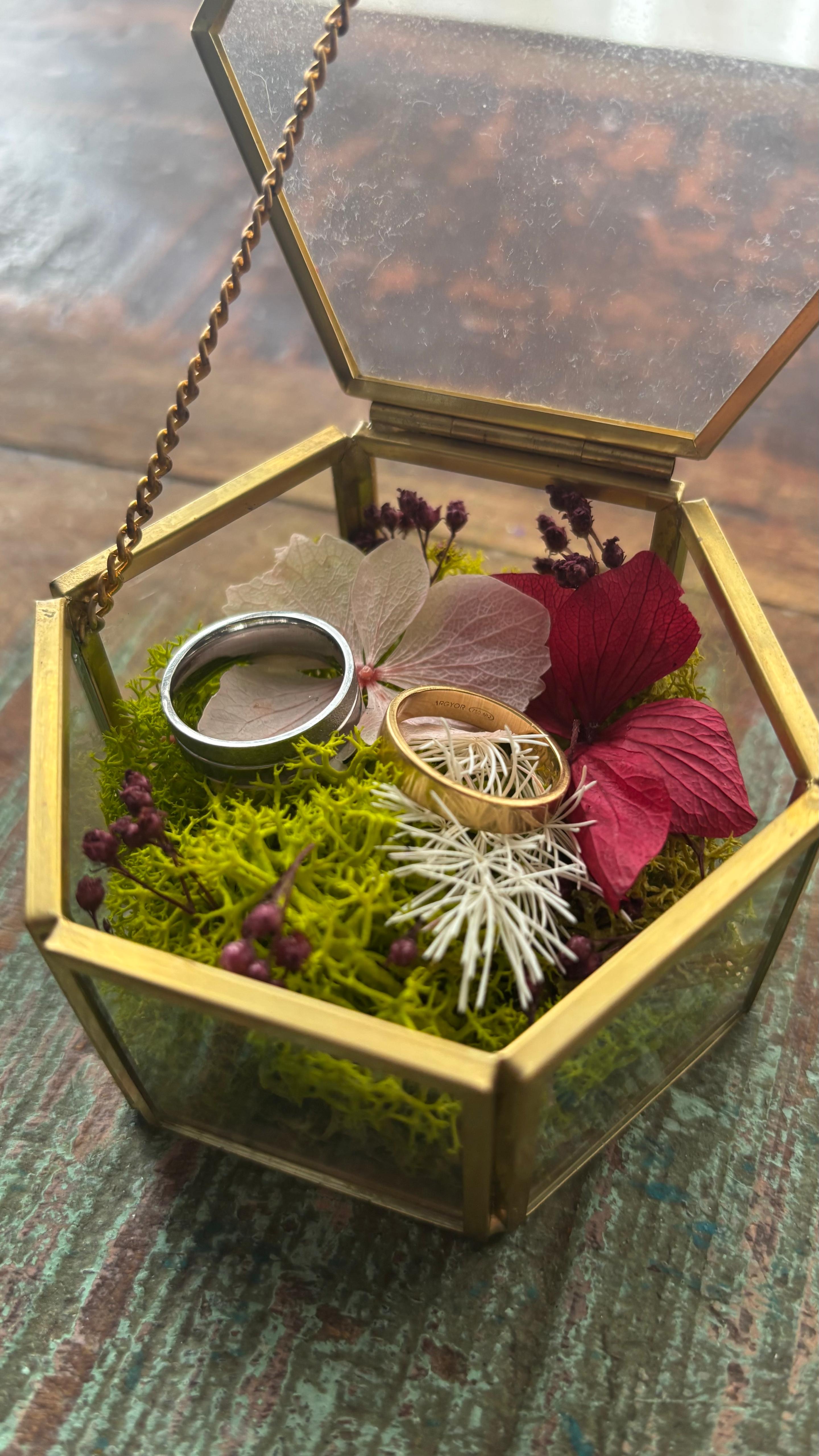 Porta alianzas exagonal