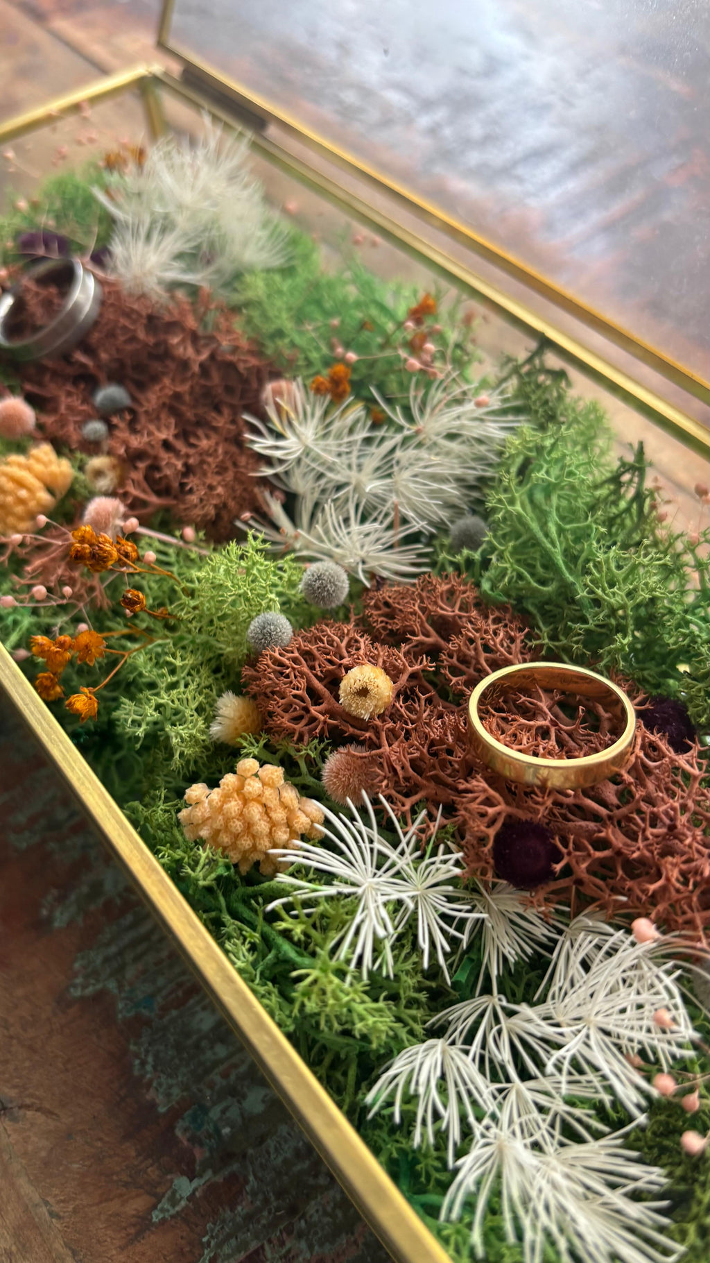 Porta alianzas Rectangular