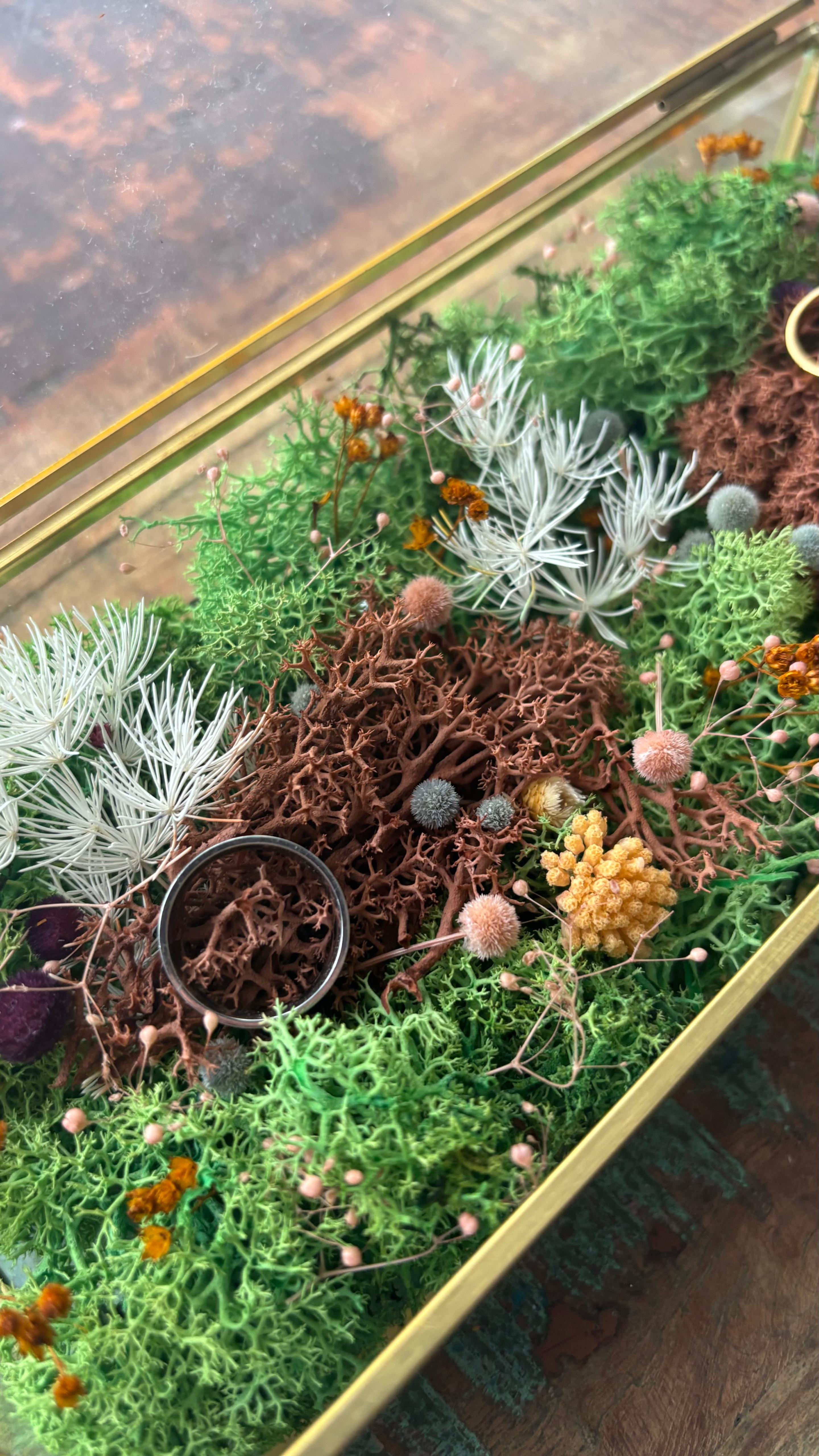 Porta alianzas Rectangular